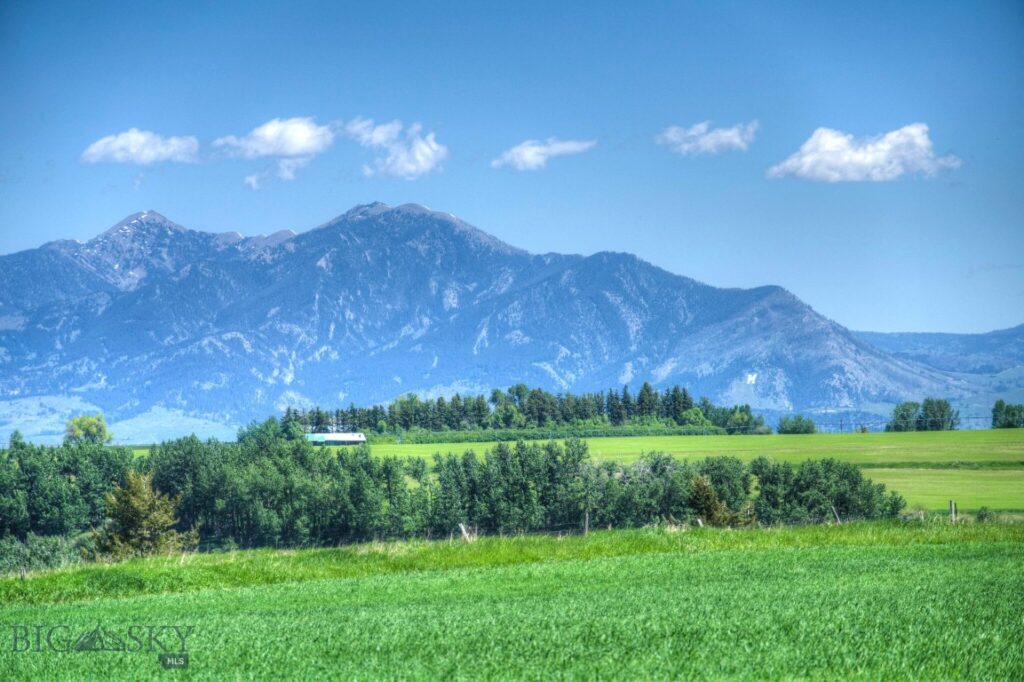 13830 (Tract D) Cottonwood Road, Bozeman MT 59718
