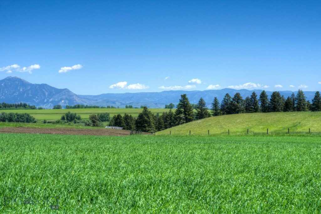 13830 (Tract A-D) Cottonwood Road, Bozeman MT 59718