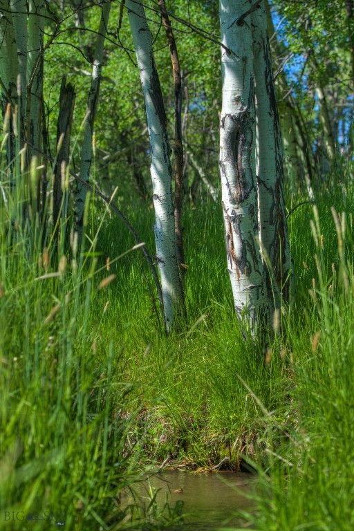 13830 (Tract B) Cottonwood Road, Bozeman MT 59718