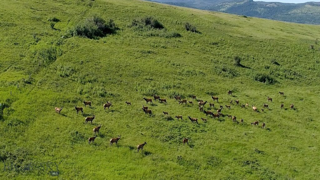 13830 (Tract C) Cottonwood Road, Bozeman MT 59718