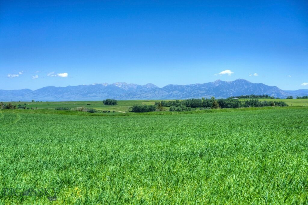 13830 (Tract D) Cottonwood Road, Bozeman MT 59718