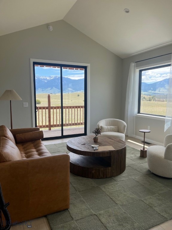 14 Cielo Grande, Livingston MT 59047