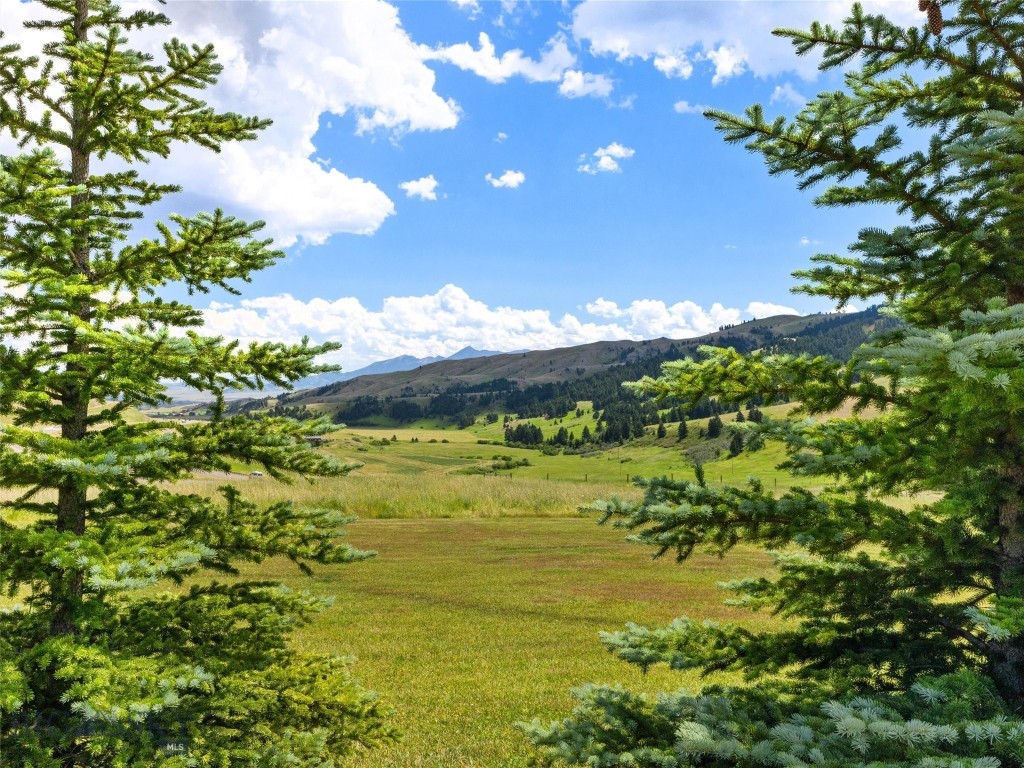 14 Sunflower Lane, Livingston MT 59047