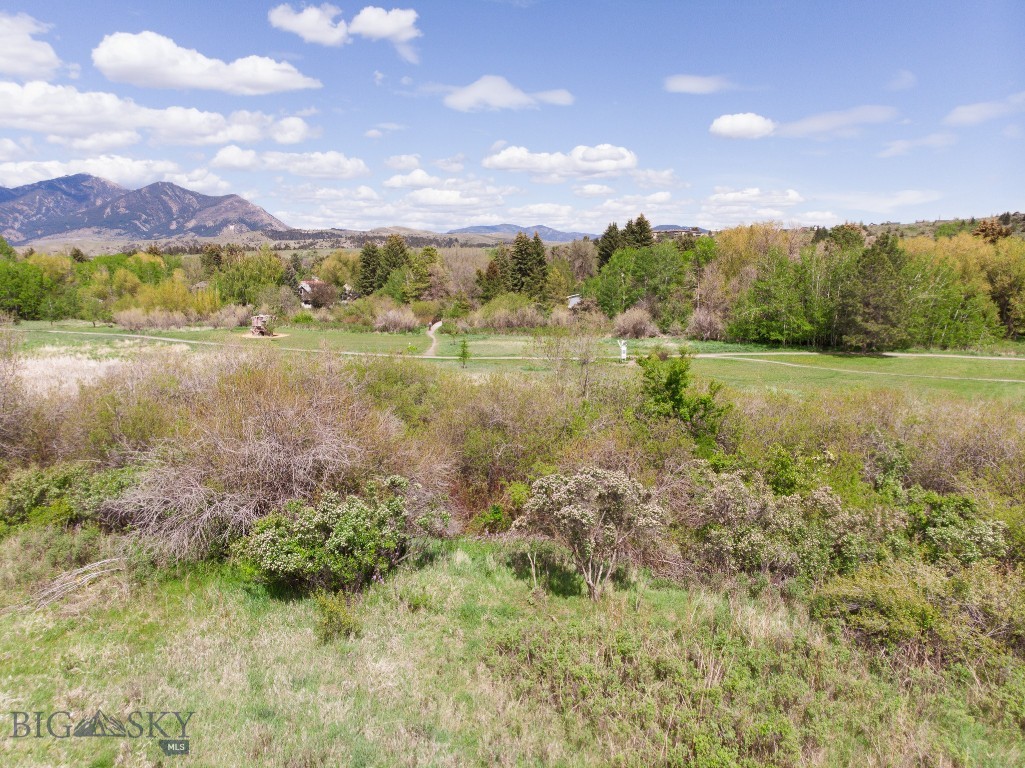 1414 S Willson, Bozeman MT 59715