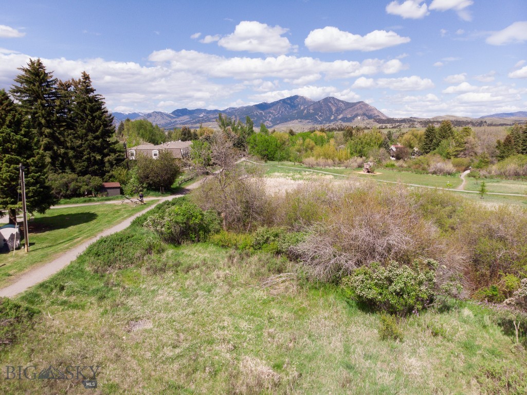 1414 S Willson, Bozeman MT 59715