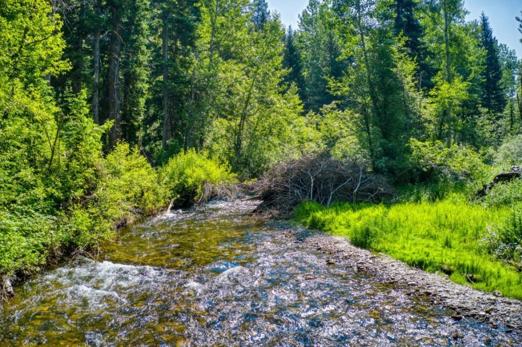 14470 Cottonwood Canyon Road, Bozeman MT 59718-8997