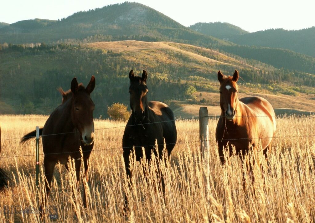 14549 High Flat Road, Bozeman MT 59718