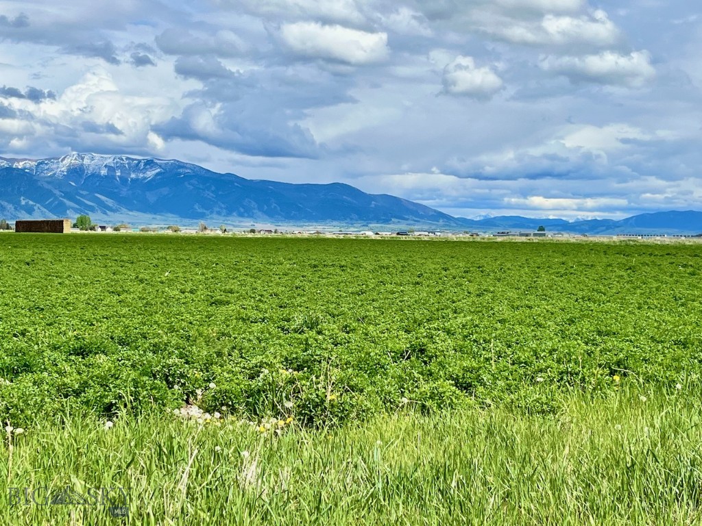 1480 Bolinger Road, Belgrade MT 59714