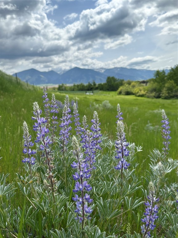 1535 Reynolds Creek Road, Belgrade MT 59714