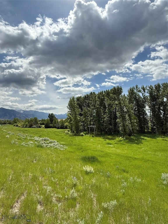 1535 Reynolds Creek Road, Belgrade MT 59714