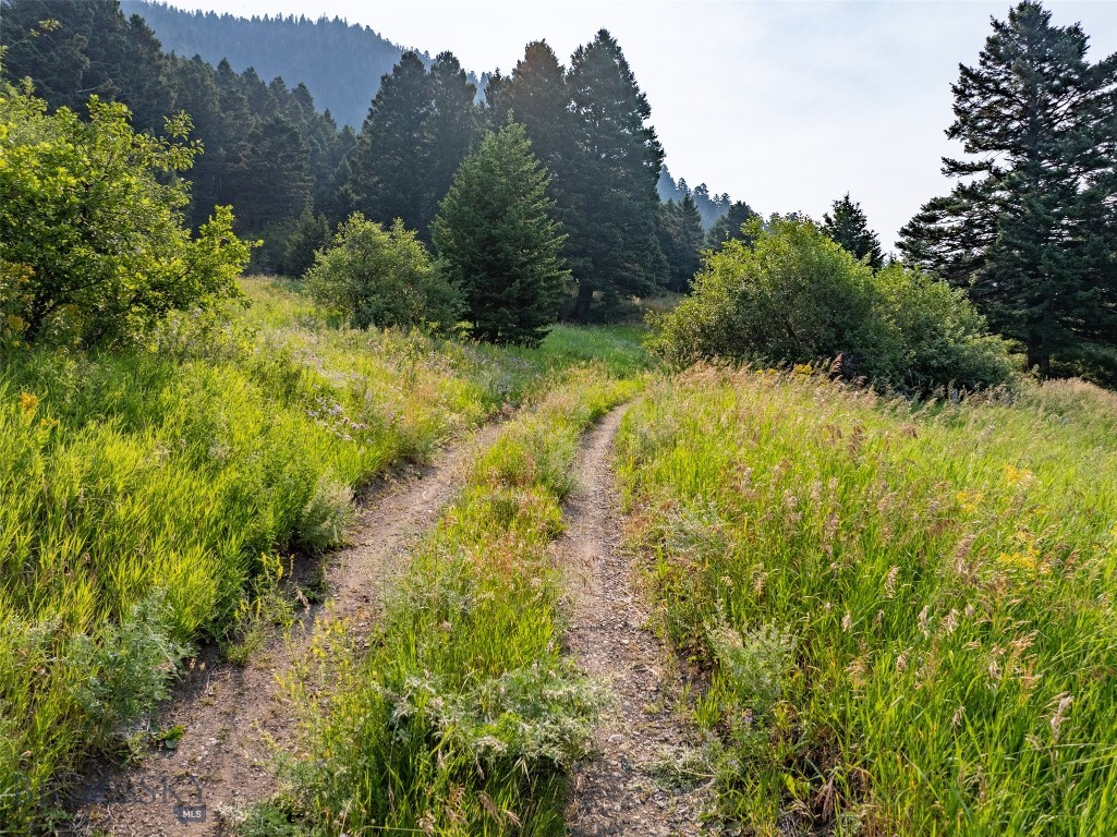 15426 Horse Creek Road, Bozeman MT 59715