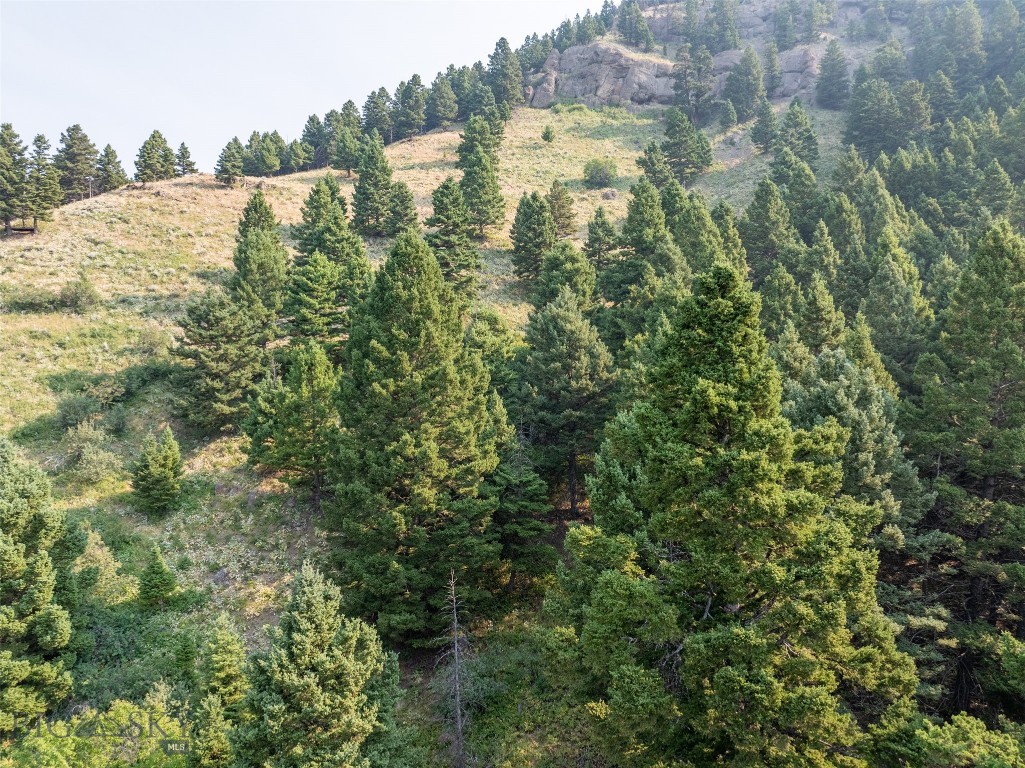 15426 Horse Creek Road, Bozeman MT 59715