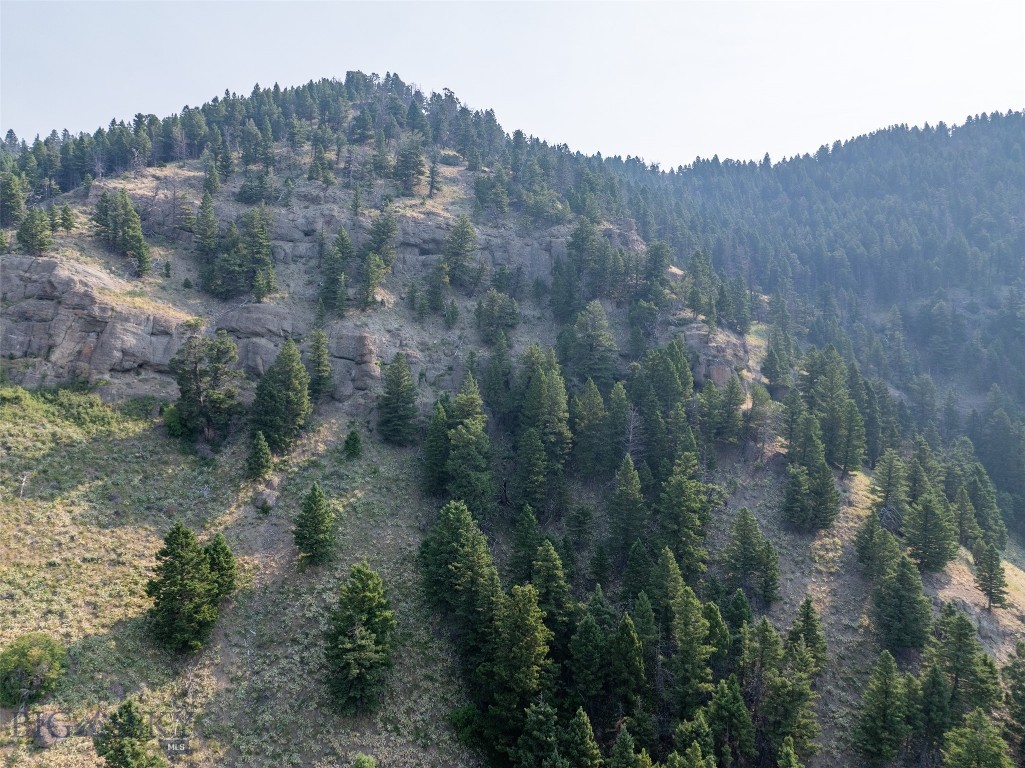 15426 Horse Creek Road, Bozeman MT 59715