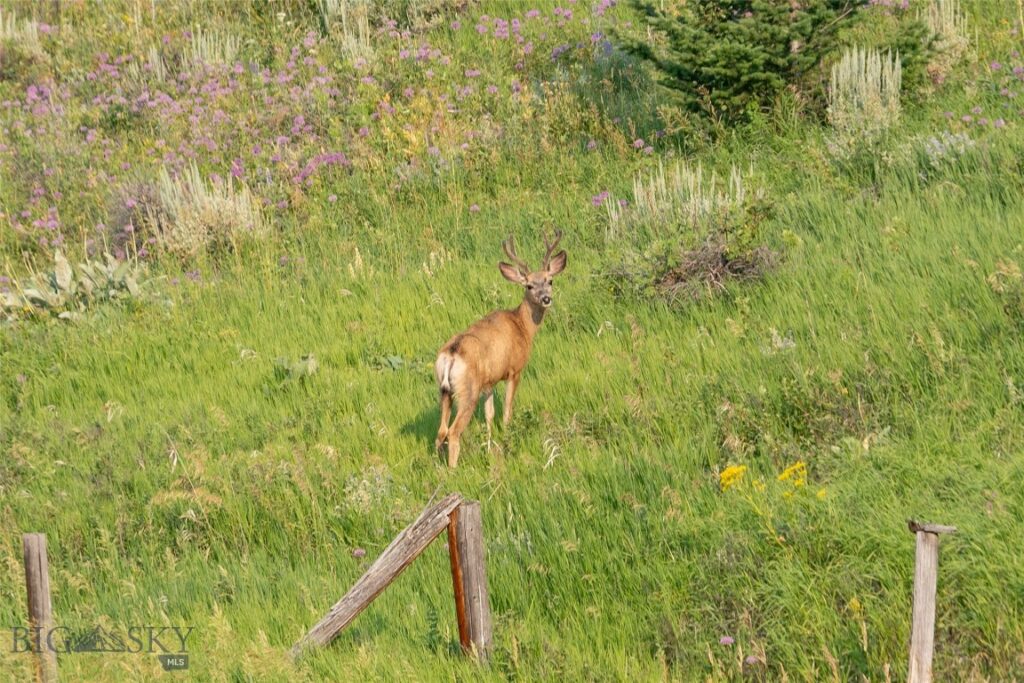 15426 Horse Creek Road, Bozeman MT 59715