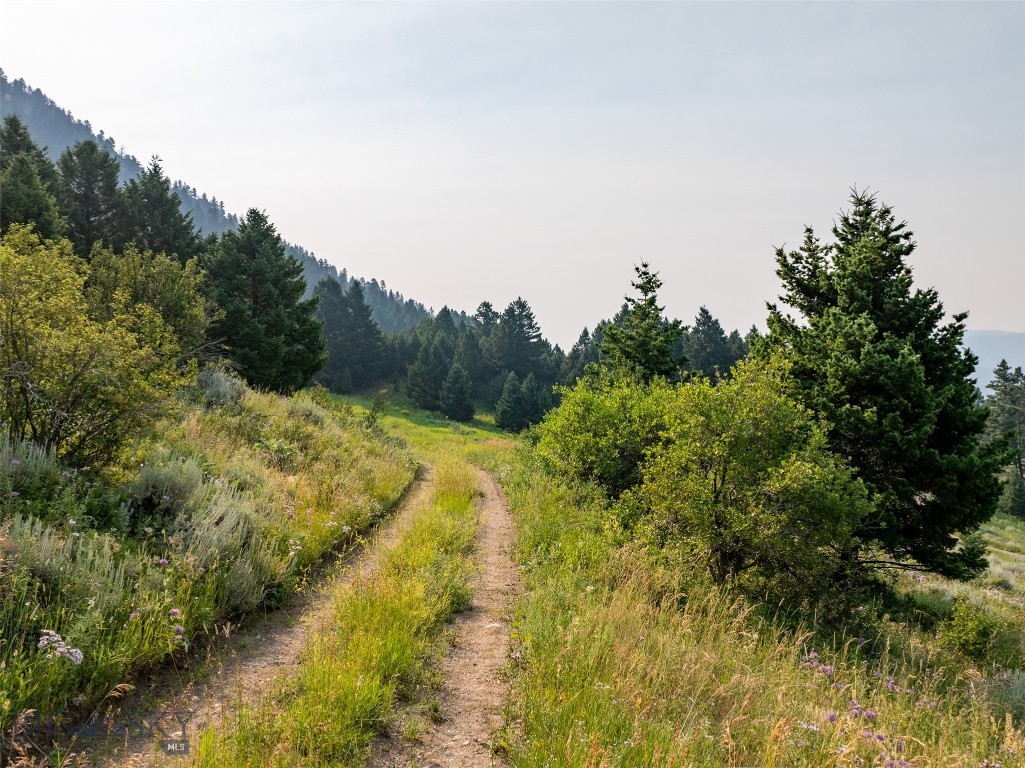 15426 Horse Creek Road, Bozeman MT 59715