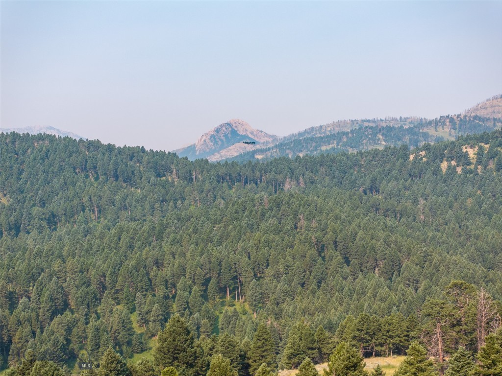 15426 Horse Creek Road, Bozeman MT 59715