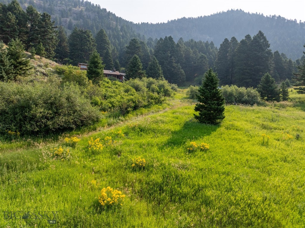 15426 Horse Creek Road, Bozeman MT 59715