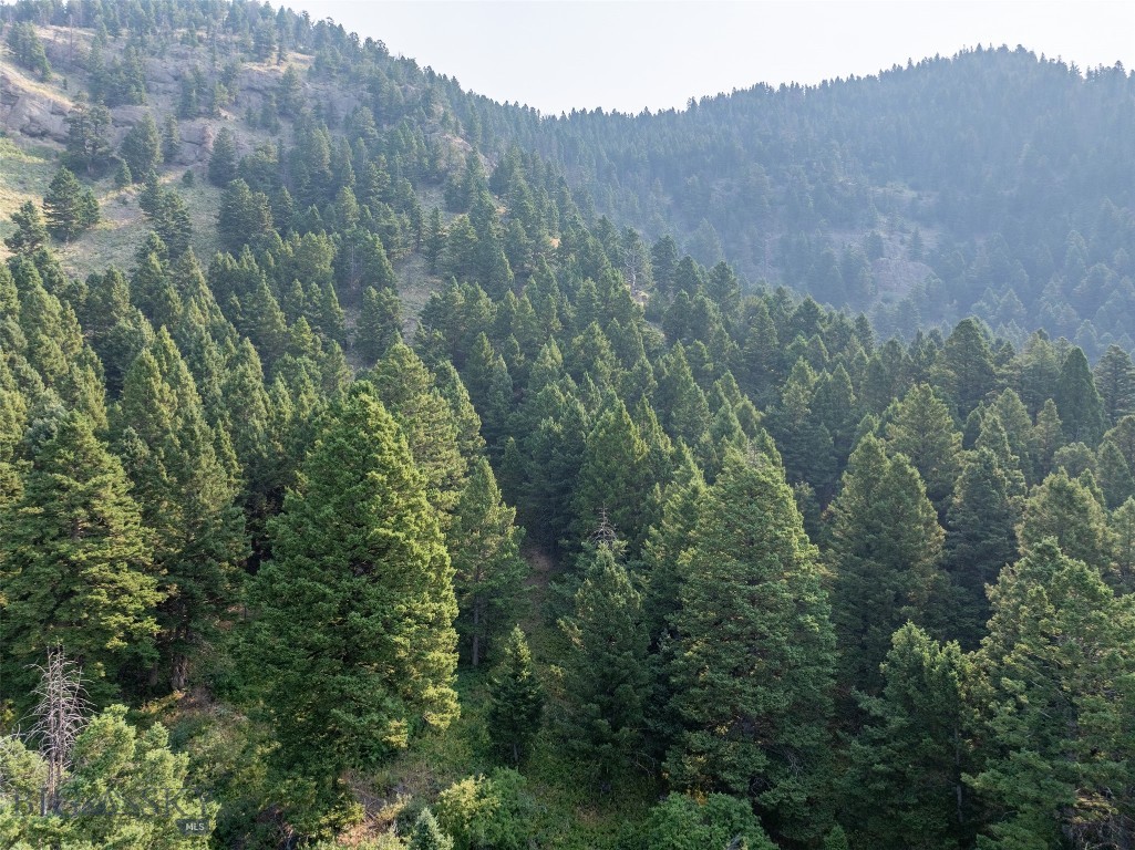 15426 Horse Creek Road, Bozeman MT 59715