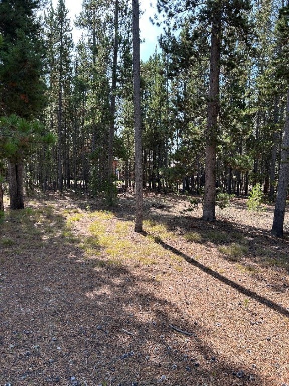 215 Wedeln Drive, Bozeman MT 59715