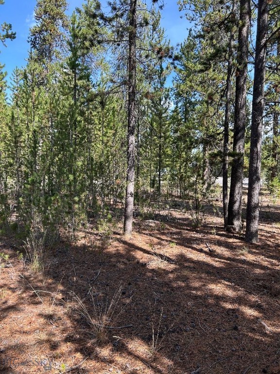 215 Wedeln Drive, Bozeman MT 59715