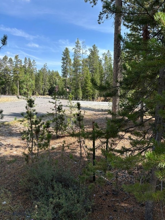 215 Wedeln Drive, Bozeman MT 59715