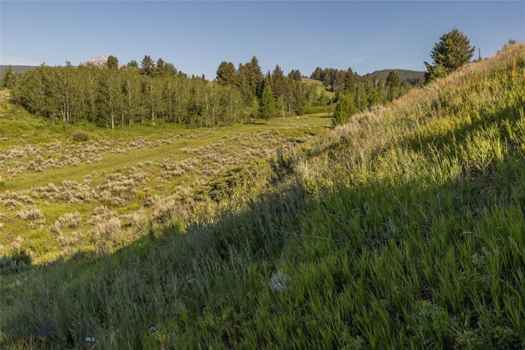 511 W Babcock, Bozeman MT 59715