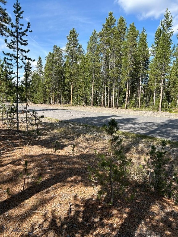 215 Wedeln Drive, Bozeman MT 59715