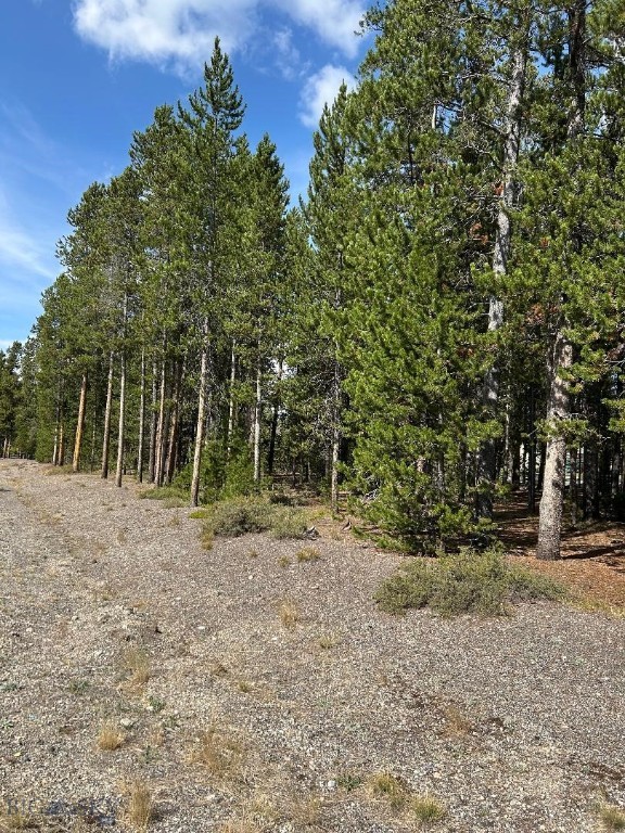 215 Wedeln Drive, Bozeman MT 59715