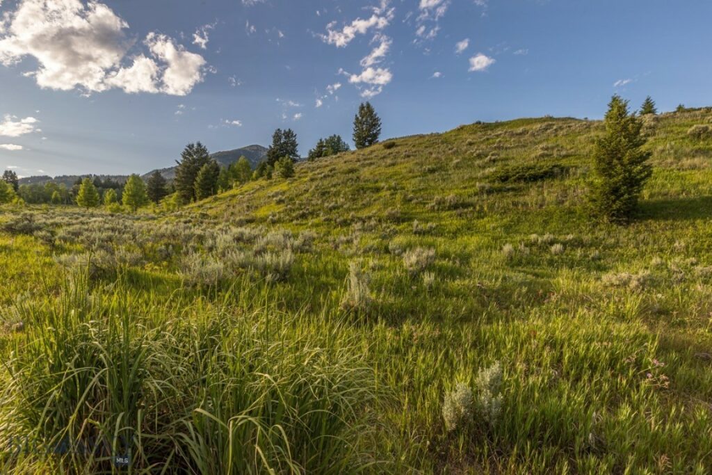 511 W Babcock, Bozeman MT 59715