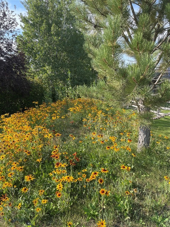 14 Teal Court, Bozeman MT 59715