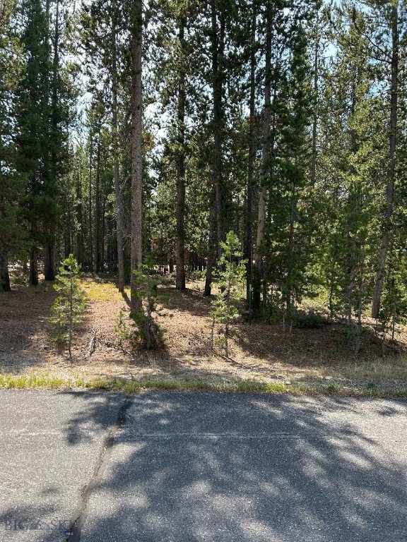 215 Wedeln Drive, Bozeman MT 59715