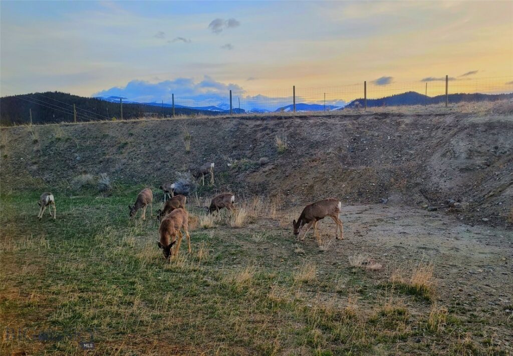 8906 Gold Dust Trail, Bozeman MT 59715