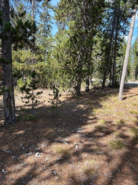 215 Wedeln Drive, Bozeman MT 59715