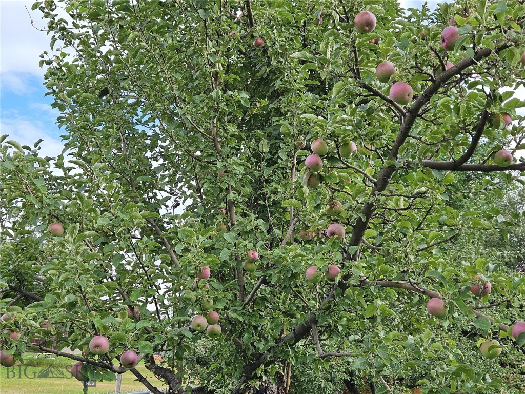 624 Rocking Horse Drive, Bozeman MT 59718