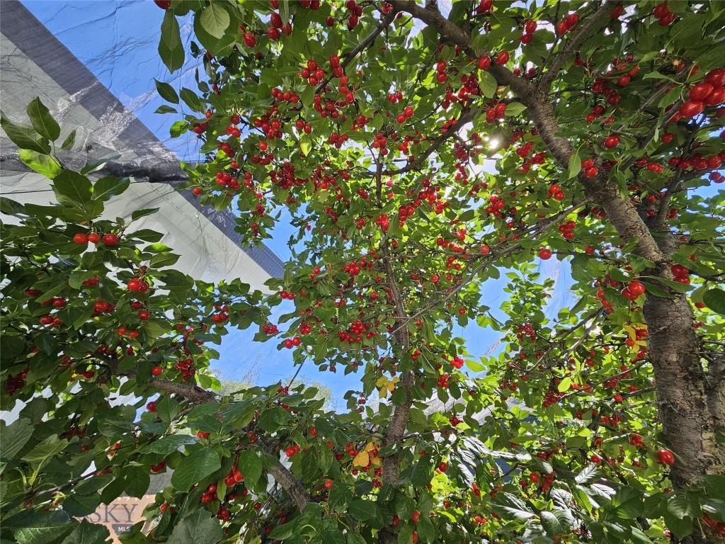 624 Rocking Horse Drive, Bozeman MT 59718