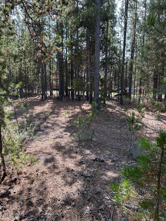 215 Wedeln Drive, Bozeman MT 59715