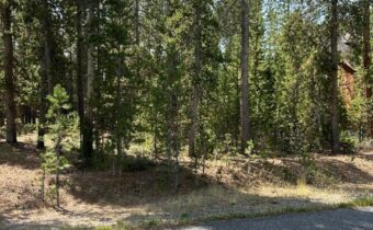 215 Wedeln Drive, Bozeman MT 59715