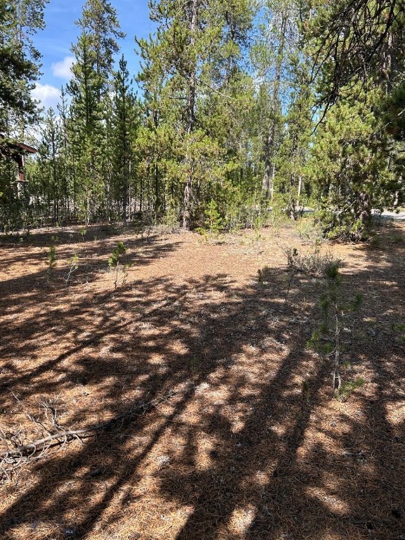 215 Wedeln Drive, Bozeman MT 59715