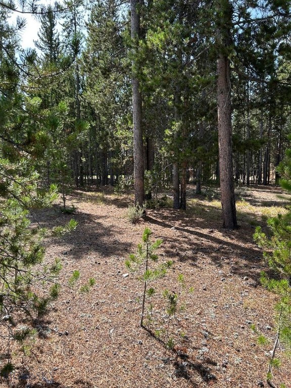 215 Wedeln Drive, Bozeman MT 59715