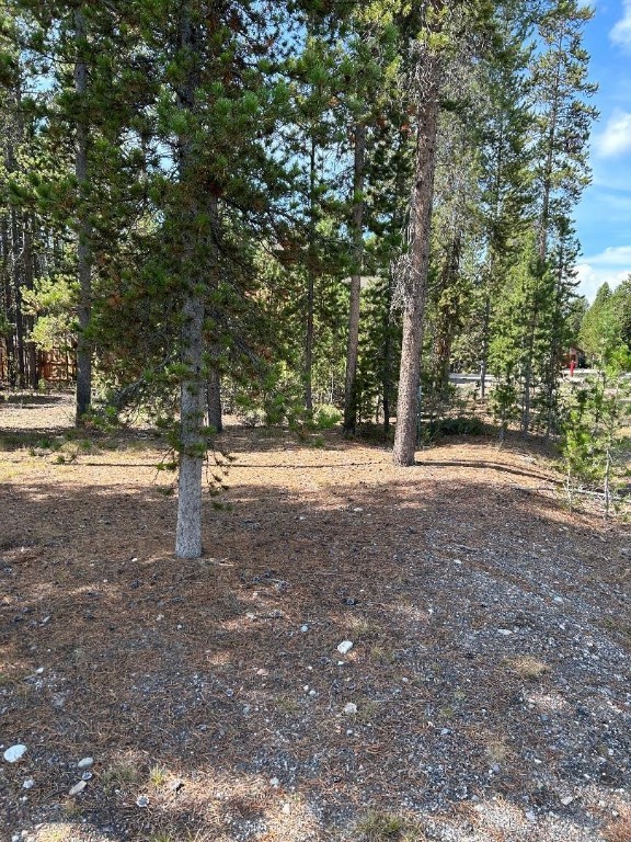 215 Wedeln Drive, Bozeman MT 59715