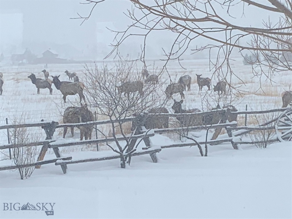 16 Wilson Road, Livingston MT 59047