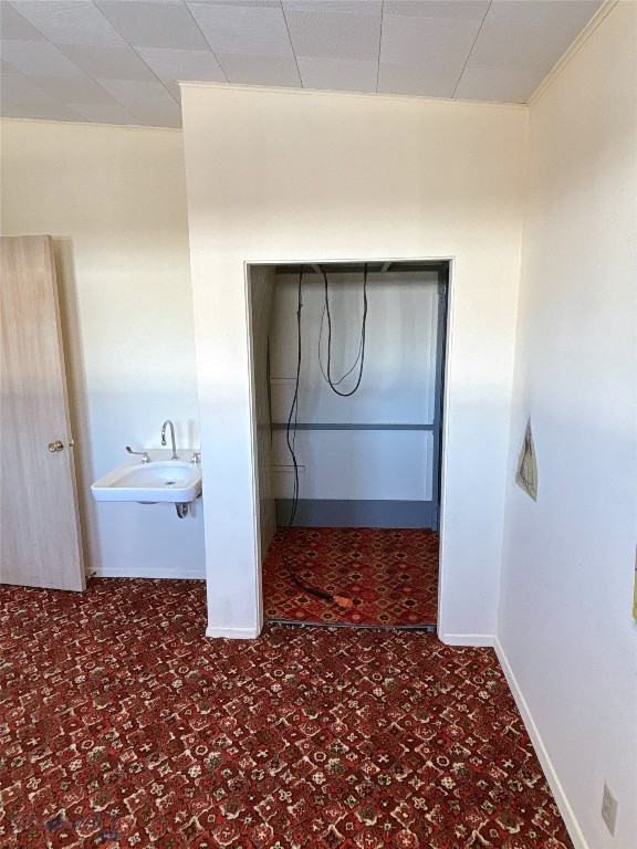 1616 S Willson, Bozeman MT 59715