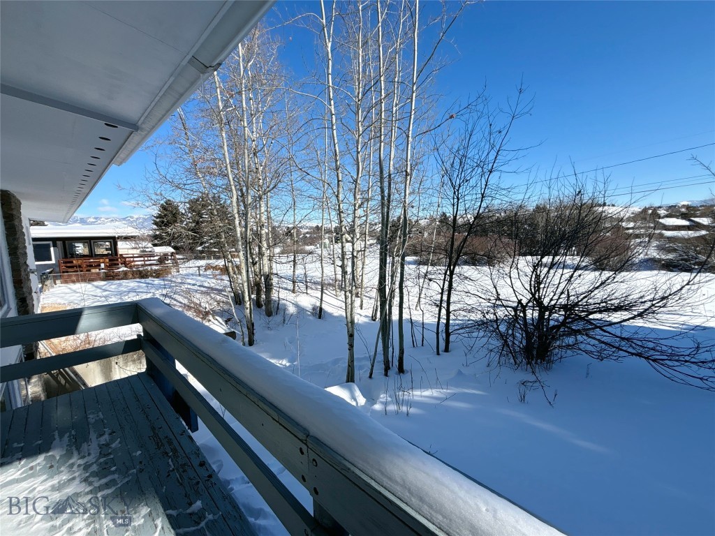 1616 S Willson, Bozeman MT 59715
