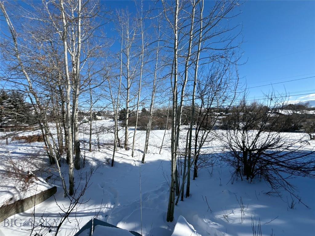 1616 S Willson, Bozeman MT 59715