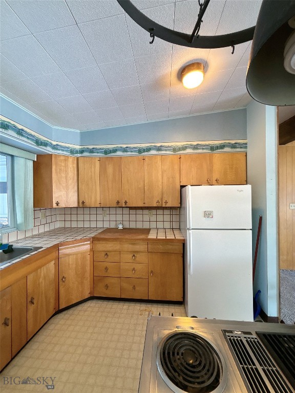 1616 S Willson, Bozeman MT 59715
