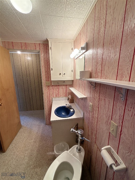 1616 S Willson, Bozeman MT 59715