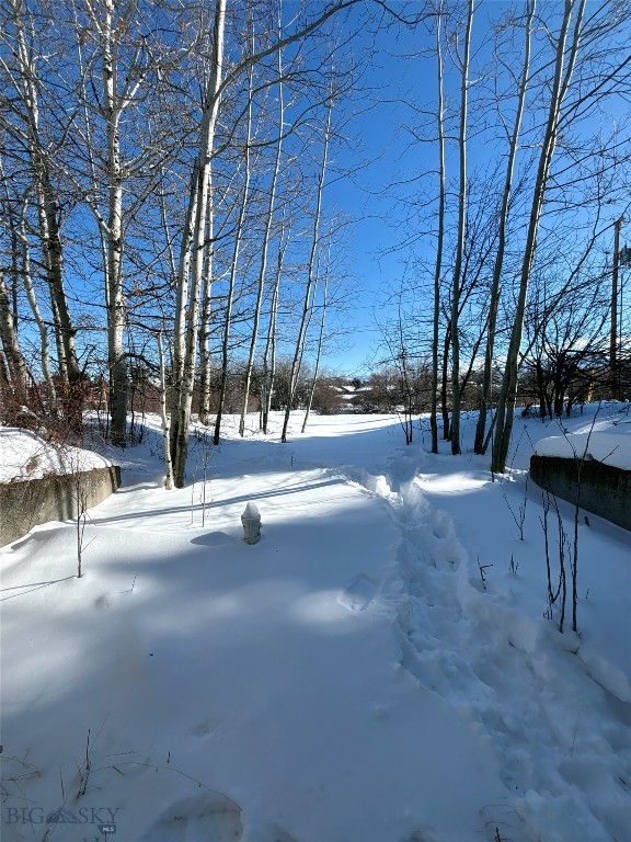 1616 S Willson, Bozeman MT 59715
