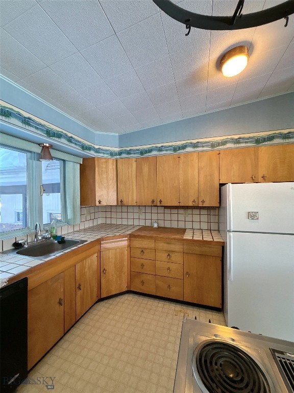 1616 S Willson, Bozeman MT 59715