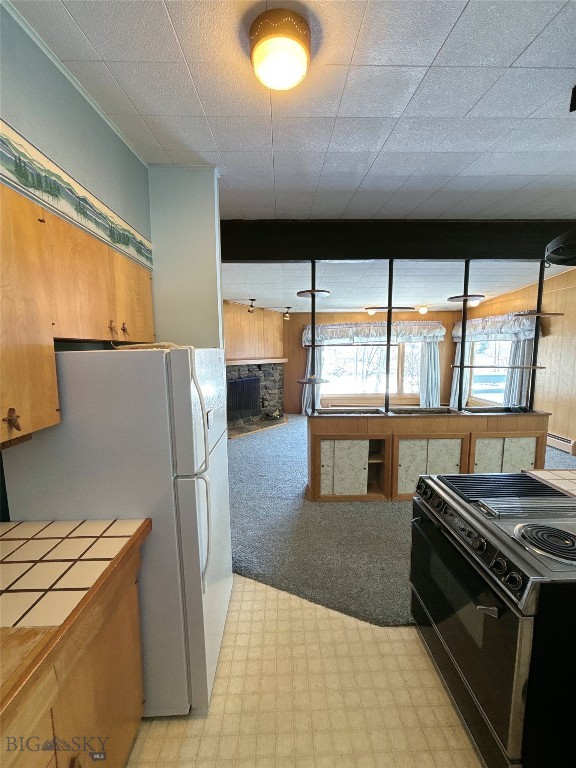 1616 S Willson, Bozeman MT 59715