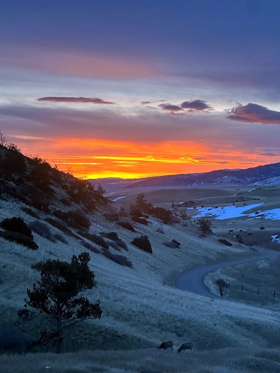 170 Cokedale Road, Livingston MT 59047